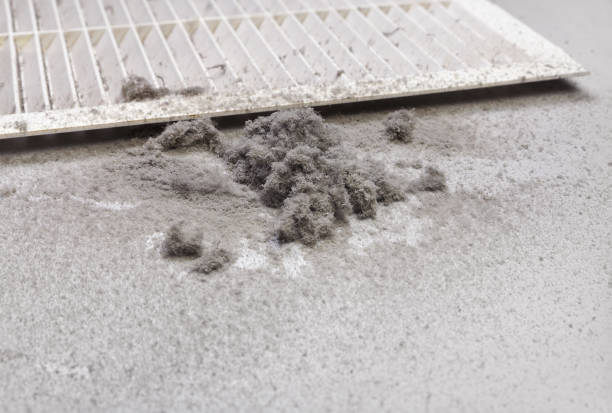 Best Affordable Duct Cleaning Services  in Rockville, IN